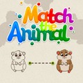 Match The Animal